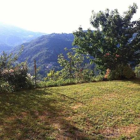 Valtopina Ospitaci Appartamenti Di Campagna Le Rancole מראה חיצוני תמונה